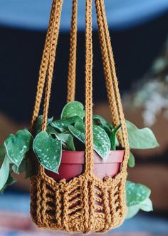 a crocheted hanging planter with two plants in it and some green leaves