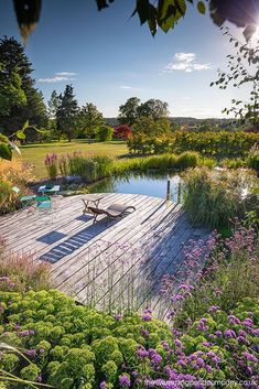 a wooden deck surrounded by purple flowers and greenery on a sunny day with the sun shining