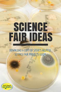 the cover of science fair ideas