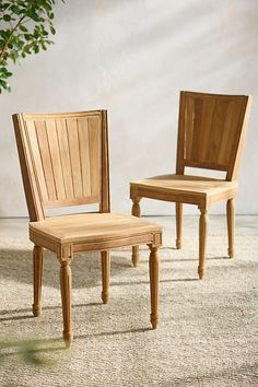 two wooden chairs sitting next to each other on top of a carpeted floor in front of a tree