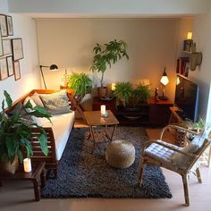 a living room filled with furniture and plants