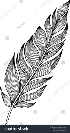 a black and white drawing of a feather