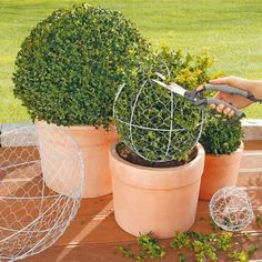 someone is cutting up the top of a potted plant with shears and scissors