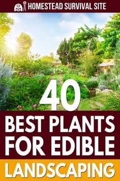 the front cover of 40 best plants for edible landscaping, with text overlaying it