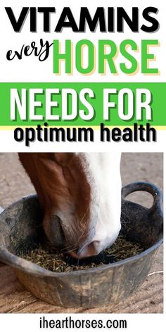 a horse eating hay in a metal bowl with the words vitamins every horse needs for opt