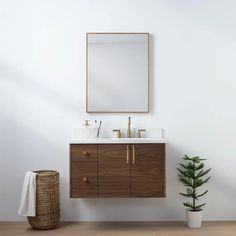 a bathroom vanity with a mirror above it and a potted plant next to it