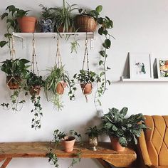 several potted plants are hanging on the wall next to a wooden table and yellow chair