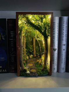 a book shelf with several books on it and an open door in the middle that leads into a forest