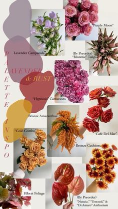 many different types of flowers are shown in this collage with the names and colors