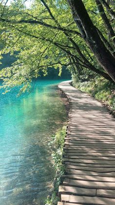 a wooden path that is next to the water and trees with green leaves on it