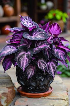 a potted plant sitting on top of a stone slab