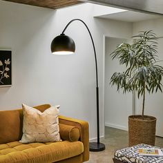 a living room filled with furniture and a large plant on the wall next to it