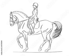 a drawing of a person riding on the back of a horse with a saddle and bridle