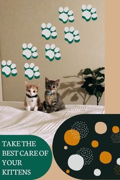 two cats sitting on top of a bed next to each other with paw prints in the background