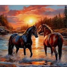 two horses are standing in the water at sunset