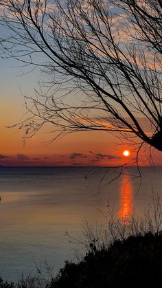 the sun is setting over the ocean with trees in front of it and water below