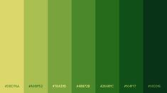 green and yellow color shades for the same wallpaper