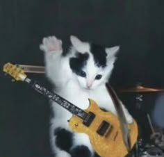 a black and white cat holding a yellow guitar