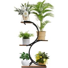 three tiered plant stand with potted plants on it