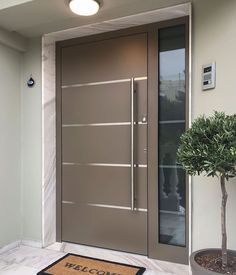 a modern door with glass panels and a potted plant