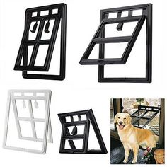 four different types of window frames with dogs in the front and back, including one dog