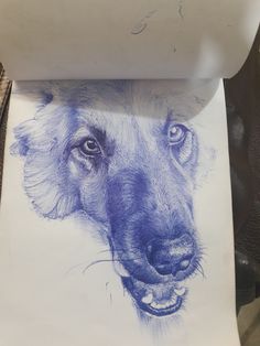 a drawing of a dog's face on a piece of paper