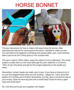 the horse bonnet is made from crochet and knitted to look like a bird