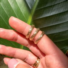 Flourish Ring (Engraved) Gold Mexican Rings, Mexican Gold Rings, Mexican Gold Jewelry, Mexican Jewelry Gold, Mexican Rings, Mexican Ring, Bloom Jewelry, Graduation Ring, Xoxo Jewelry