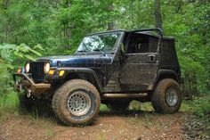 a black jeep is parked in the woods