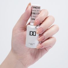 Dirty Dancer #881 – A sunset peachy sheer Dnd Sheer Collection, Elegant Nail Polish, Dnd Nail Polish, Sheer Polish, Luminous Nails, Band Nails, Dnd Gel Polish, Fun Nail Colors, Powder Nail Polish