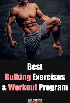 the best bulking exercises and workout program