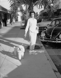 a woman walking her poodle on the sidewalk in front of an old car and palm tree