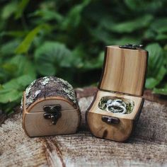 two wooden boxes with rings inside sitting on a tree stump in front of some plants