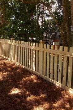 a white picket fence in front of a tree