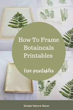 how to frame botanicals printables with free printables