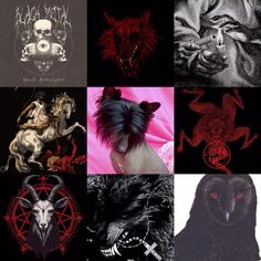 a collage of images with different types of animals and demon heads on them, all in black and red