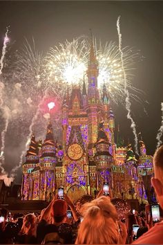 the castle is lit up at night with fireworks