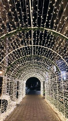 a walkway covered in christmas lights at night