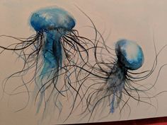 two blue jellyfish are swimming in the ocean watercolor on paper, each one has its own long tentacles