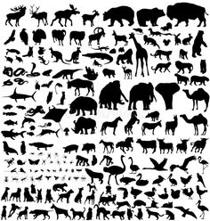 the silhouettes of animals and birds are shown in this black and white image royalty illustration