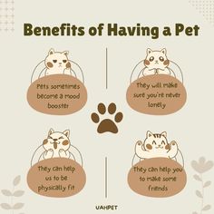 the benefits of having a pet info graphic with cat and dog in bed, on top of