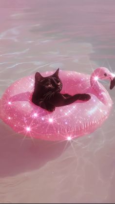 a black cat laying on an inflatable pink flamingo floating pool floatie