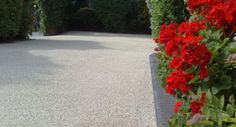 red flowers are growing on the side of a road in front of bushes and trees