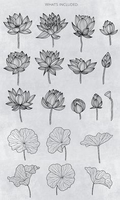 the lotus flower is shown in black and white