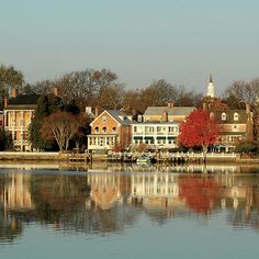 a body of water with houses in the background