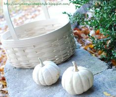 two white pumpkins sitting next to a basket