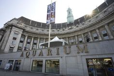 there is a building that has an aquarium sign on the front and side of it