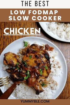 the best low fodmap slow cooker chicken recipe on a plate with rice