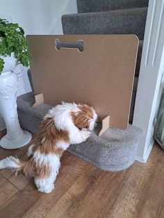 a brown and white dog sitting on top of a carpeted stair case next to a potted plant