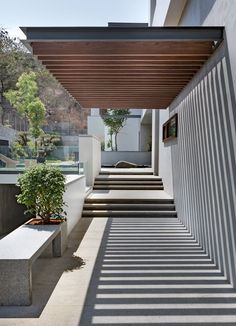 an outdoor area with concrete steps and planters on the side of the building, under a pergolated roof